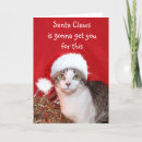 Zoek naar groepering kaarten Kat