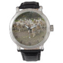 Zoek naar sheep horloges Lammeren