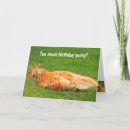 Zoek naar gelukkige kip kaarten Vogel