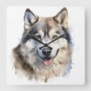 Zoek naar alaskan malamute kunst Misleiding