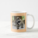 Zoek naar raccoon mokken Baby