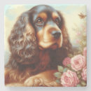 Zoek naar cocker spaniel onderzetters Puppy