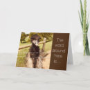 Zoek naar einden kaarten Grappig