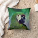 Zoek naar ara kussens Dier