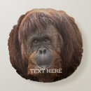 Zoek naar chimpansee kussens Wild