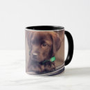 Zoek naar chocolade labrador mokken Hond
