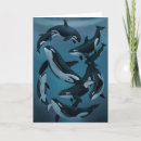 Zoek naar orka kaarten Dieren