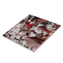 Zoek naar flora tegels Keramische