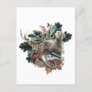 Zoek naar weimaraner briefkaarten Grijze geest