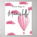 Zoek naar hete luchtballon posters Meisje baby shower