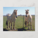 Zoek naar noorse fjord posters Paarden