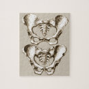 Zoek naar menselijke anatomie puzzels Skelet