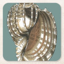 Zoek naar seashell onderzetters Natuur