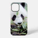 Zoek naar kawaii panda iphone hoesjes Schattig