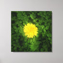 Zoek naar paardebloem kunst Geel
