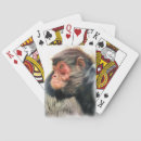 Zoek naar apen speelkaarten Aap