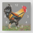 Zoek naar colorful rooster kunst Kip