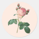 Zoek naar engelse rozen stickers Bloem