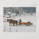 Zoek naar meststof Boerderij