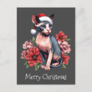 Zoek naar sphynx kat briefkaarten Kerstmis