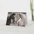 Zoek naar zwart wit paard kaarten Fotografie