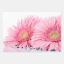 Zoek naar gerbera cadeaupapier Dagbladen