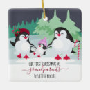 Zoek naar pinguin ornamenten Voor hem/haar