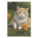 Zoek naar oranje kat posters Voor huisdieren