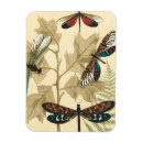 Zoek naar dier magneten Botanisch