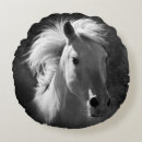Zoek naar zwarte paarden kussens Fotografie