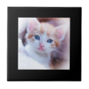 Zoek naar foto lijst tegels Zwart