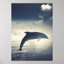 Zoek naar dolfijn in blauw water posters Dier