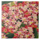 Zoek naar frangipani tegels Botanisch
