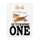 Zoek naar tijger magneten Safari