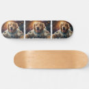 Zoek naar honden skateboards Voor hem