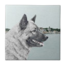 Zoek naar noorse tegels Hond