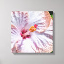 Zoek naar hibiscus kunst Mooi