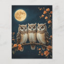 Zoek naar volle maan briefkaarten Wild