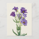 Zoek naar vintage botanisch briefkaarten Schilderij