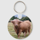 Zoek naar highland cow sleutelhangers Dieren