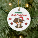Zoek naar australian shepherd ornamenten Kerstmis