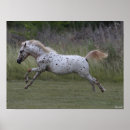 Zoek naar spotty kunst Bob langrish