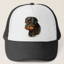 Zoek naar rottweiler petten Puppy