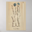 Zoek naar meridianen posters Acupunctie