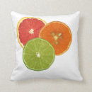 Zoek naar graafschap kussens Florida