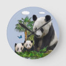 Zoek naar pandas klokken Dieren
