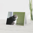 Zoek naar klantgericht kaarten Dieren