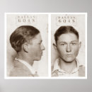 Zoek naar mug kunst Foto