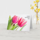 Zoek naar roze tulpen kaarten Foto