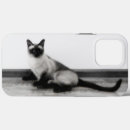 Zoek naar siamese cat iphone hoesjes Schattig